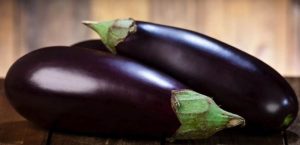 eggplant GMO