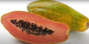 papaya GMO