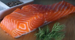 GMO Salmon