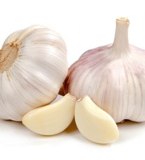 Garlic
