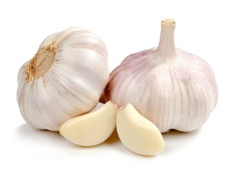 Garlic