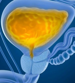 The Dangers of Urinary Retention on Your Kidneys