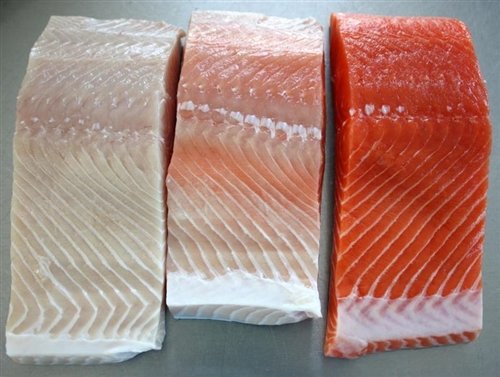 natural salmon