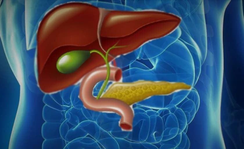 Gallbladder (Biliary) Sludge in Prolonged Fasting