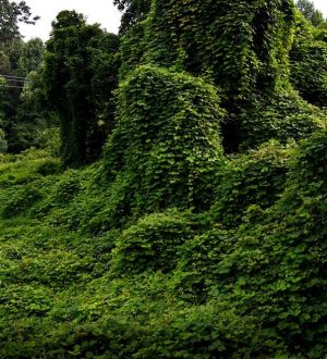 How to Stop Drinking Alcohol and Save Your Liver