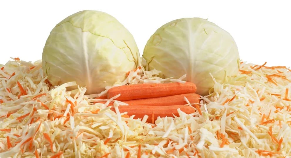 How to make sauerkraut at home