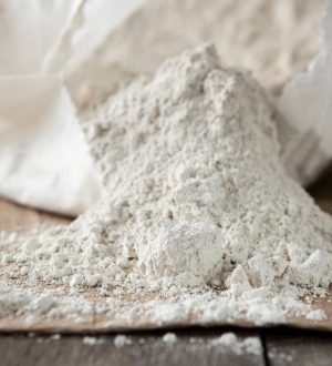 The Benefits of Diatomaceous Earth for Humans