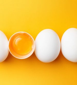 The Number 1 Healthiest PROTEIN in the World