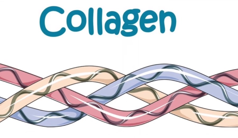 collagen