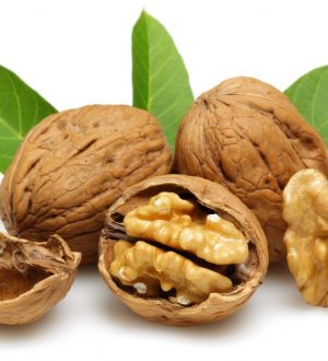 Walnuts are the ONLY Nut with Omega 3 Fats